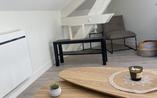 Appartement rénové QUARTIER MARMUZOTS