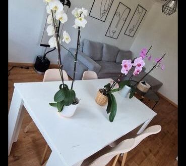 Appartement 80m2