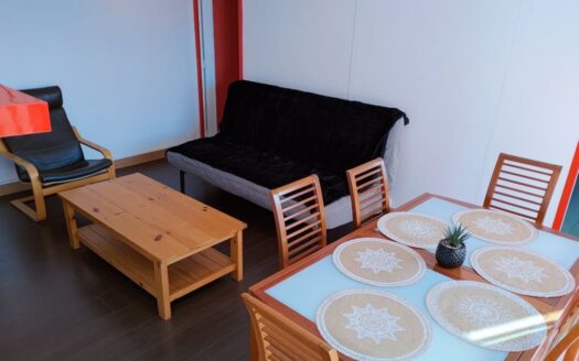 Appartement 4 pièces fac université
