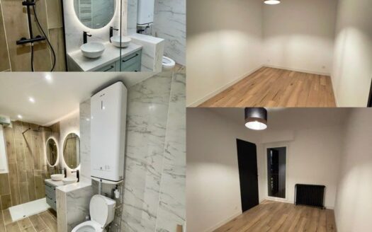 Appartement T3 Refait à neuf