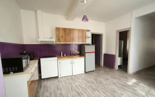 Idéal investisseurs ou commerçants Maison à vendre 7 pièces – 355 m2