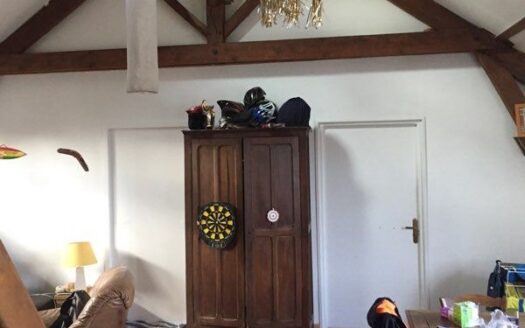 Maison appartement local commercial en location 98000