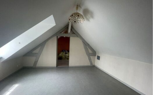 Maison d’habitation spacieuse et ou restaurant-bar et ou un immeuble locatif / vente direct pro