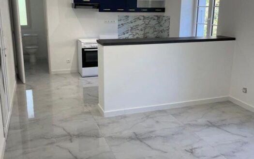 3 appartements et restaurant idéale pour projet immobilier