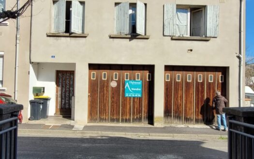 IDEAL FAMILLE/ IMMEUBLE / 2 APPARTEMENTS, CAVES, JARDIN