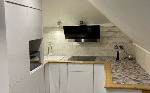 Appartement de haut standing au bord de Marne