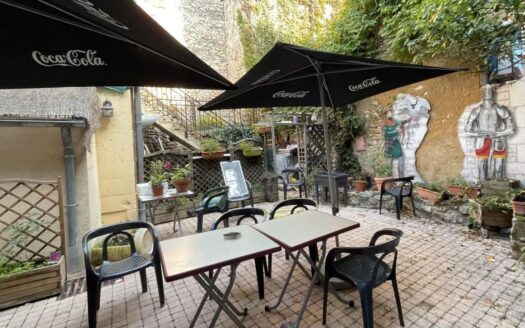 Idéal investisseurs ou commerçants Maison à vendre 7 pièces – 355 m2