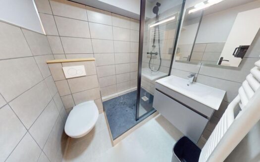Studio 19m² rénové – Idéal investisseur, vendu loué