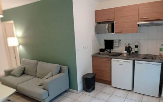 Appartement Lyon 69008 2P + garage + jardin