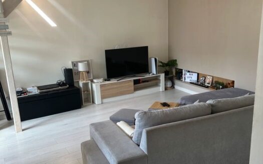Duplex 57M2 Annemasse