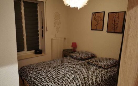 Appartement 3 pièces 43 m2