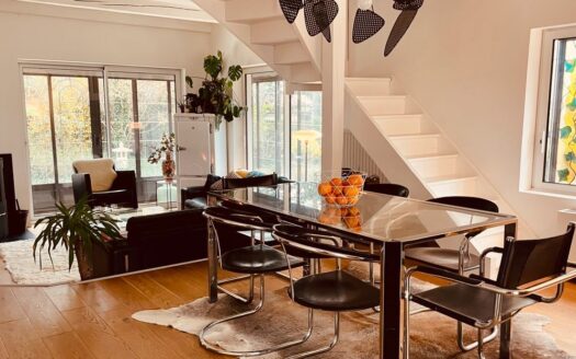 1/3  Magnifique maison rénovée 175m²