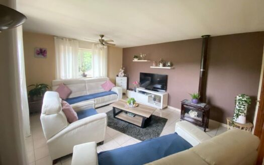 1/3  MARSPICH, Appartement F3 lumineux de 76m², avec vue imprenable , cheminée, jardin & cave