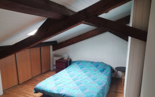 Appartement duplex proche promenades