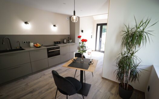 Idéal couple / Investisseurs – Ferme rénovée avec gîte haut de gamme – Mandray 88650