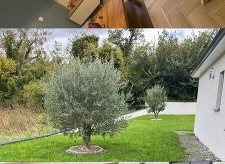 Maison plein pied