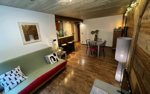 Charmant appartement rénové de 36,36 m² au pied des pistes aux Gets (74260)