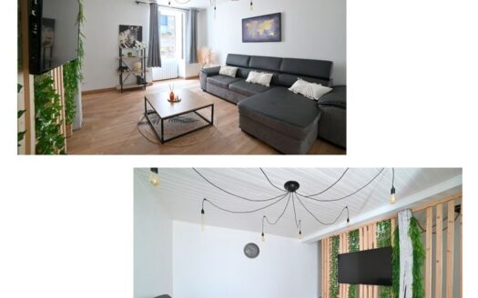 1/3  Maison de ville 100m² Chasseneuil du Poitou