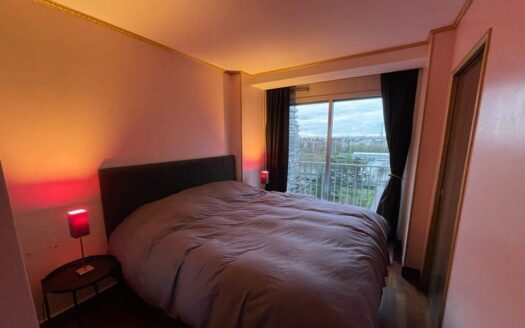 Appt 2 pieces – PUTEAUX vue Tour Eiffel