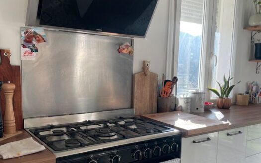 1/3  Appartement 6 Pièces 139m2