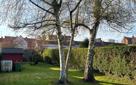 maison + terrain à bâtir