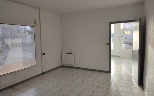 INVESTISSEMENT MALIN À NÉRAC – IMMEUBLE MIXTE AVEC APPARTEMENT T3 ET LOCAL PRO EN RDC + FINANCE