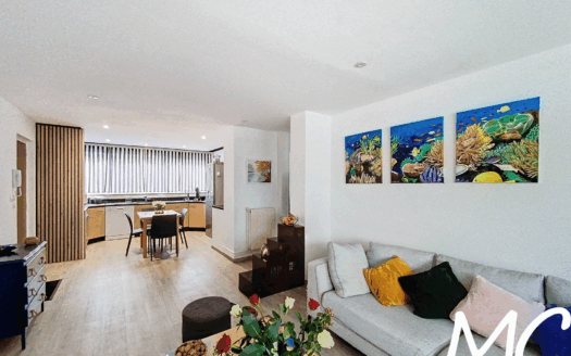 Appartement toulousain en bord de Garonne limitrophe de Blagnac