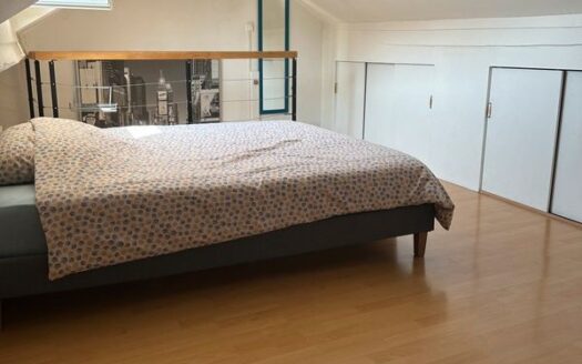 Duplex 57M2 Annemasse