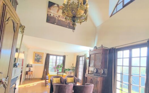 IDEAL FAMILLE – MAISON 285 M² – TERRASSE – PISCINE – JARDIN – TERRAIN – VUE DEGAGEE – DPE D