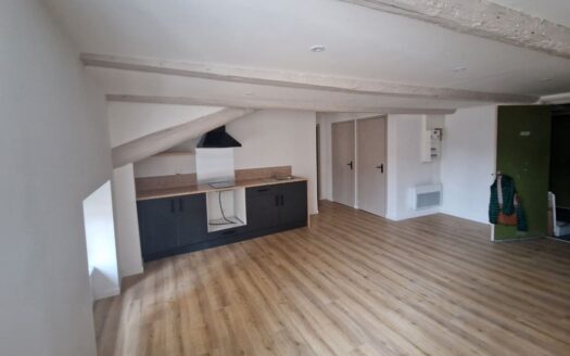 3 appartements centre de brioude