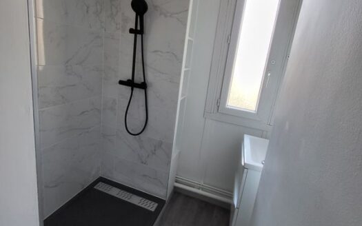 Appartement – 3 Pièces – 54m² – refait entièrement – Calme – cuisine et SDB neuves – lumineux –