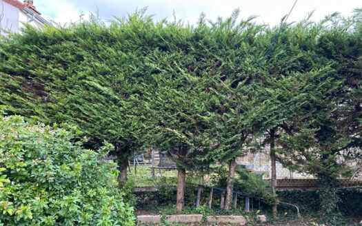 IDEAL INVESTISSEUR / MAISON 270 m² / 13 CHAMBRES  /  JARDIN / DPE C