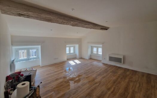 3 appartements centre de brioude