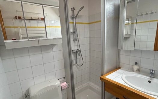 Appartement 18.37m2 à 2 pas des pistes