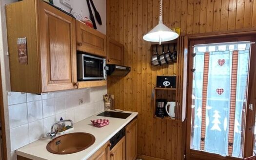 Appartement 18.37m2 à 2 pas des pistes