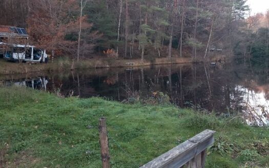 Etang avec maisonnette