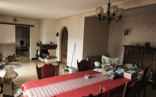 Maison avec grand jardin