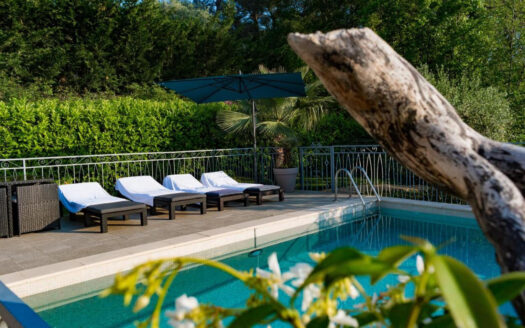 IDEAL FAMILLE/INVESTISSEUR GRANDE VILLA  AVEC VUE IMPRENABLE SUR LES GORGES DU LOUP