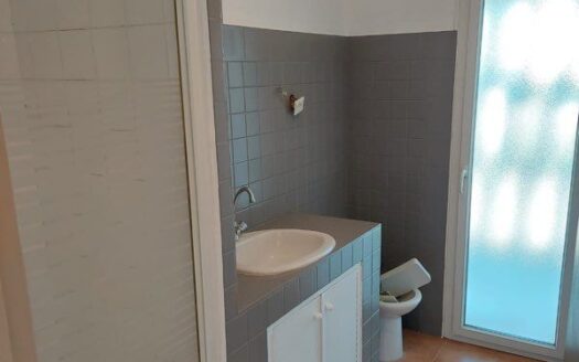 Vends T3 65m2 MERLAN village