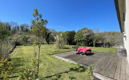 Maison avec grand terrain