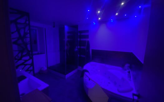 Maison rénovée 3 garage piscine spa grange