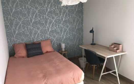 Appartement 75m2 campus / Gabrielle péri / Ambroise croizat / refait en 2019 / idéal investisse