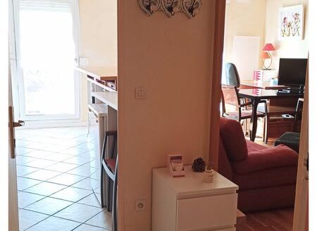 1/3  Appartement 47m² Dijon Drapeau – République