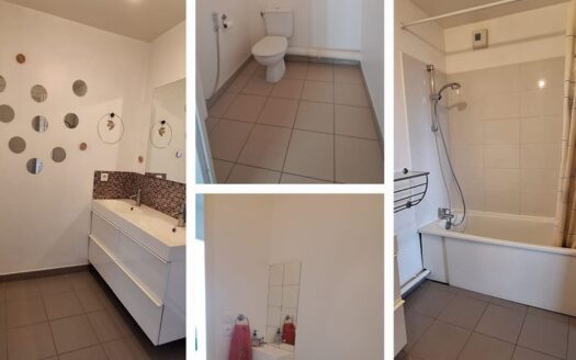 Appartement grand T2 + place de parking privé1862