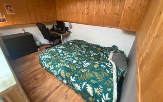 Grand T1 Bordeaux Tondu