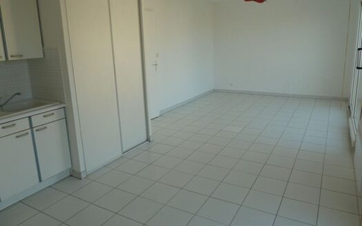 Montpellier Aiguerelles Grand studio 36,28 m2 Res Ile Verte