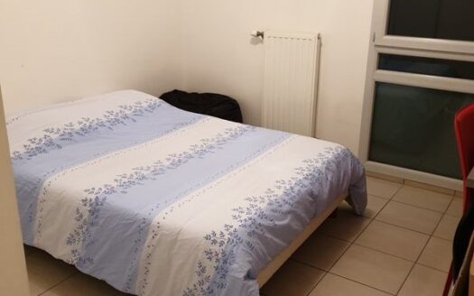 Appartement T3 BRON avec jardin de 100 m2 limite LYON 8ème et 3 ème