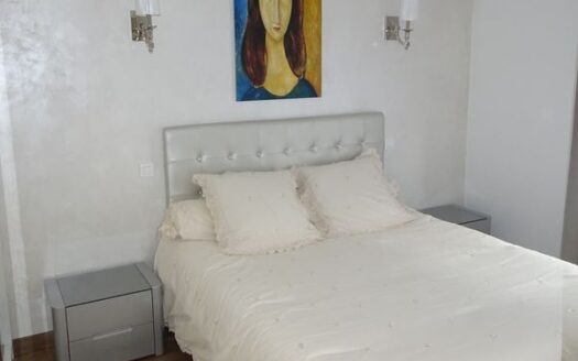 Magnifique appartement paris 5ème