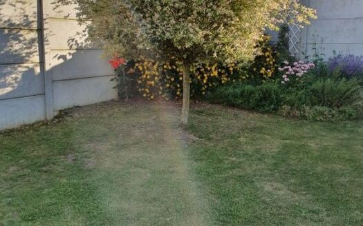 Maison 2 pieces 50 m2