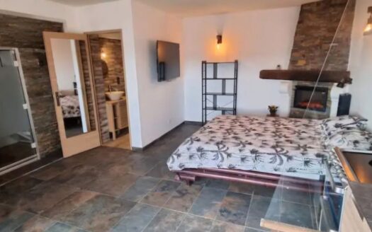 Maison 230m2 6 appartements